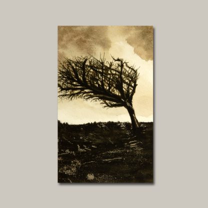 Watercolour painting of a windswept tree
