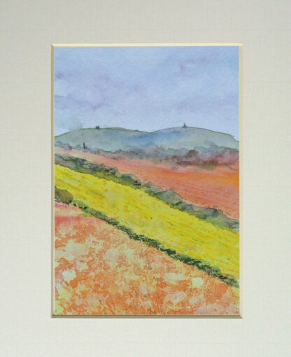 Watercolour painting looking over the fields to Carn Brea, with spring flowers in full bloom, including Daffodils, set inside a cream mount